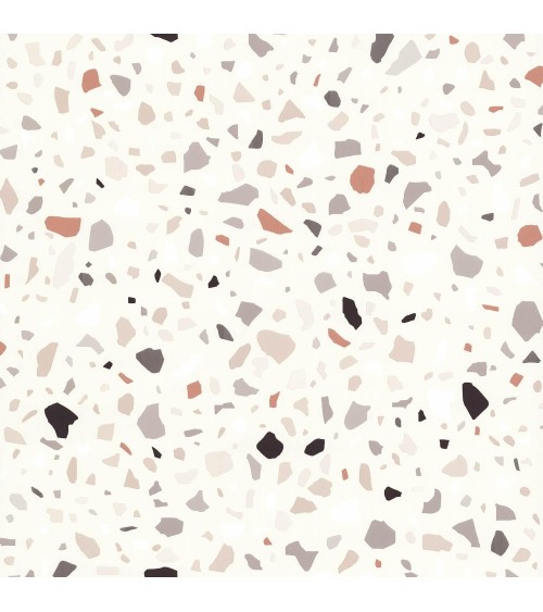 51221107-cover