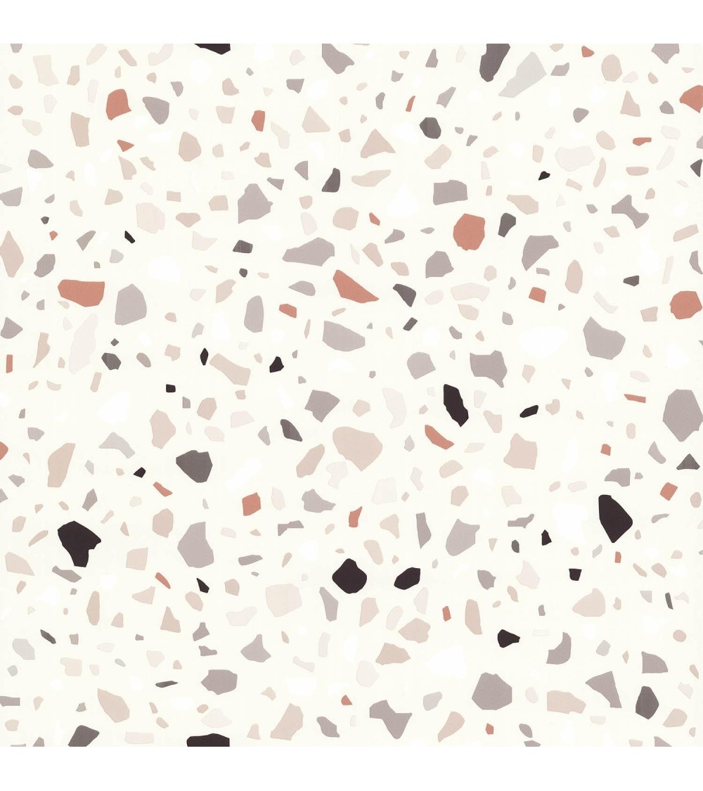 51221107-cover